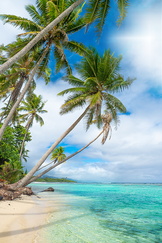 Natural wonders unveiled